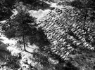 С апреля по май 1940 расстреляно: в Катыни - 4421 пленных; в Старобельском и Осташковском лагерях - 10131; в других лагерях - 7305