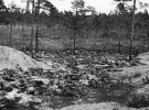 С апреля по май 1940 расстреляно: в Катыни - 4421 пленных; в Старобельском и Осташковском лагерях - 10131; в других лагерях - 7305