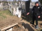 Могили розстріляних євреїв розкопували заради цінностей - поліцейські викрили групу вандалів