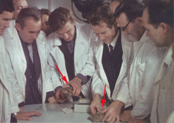 Осмотр черепах — первых животных, облетевших Луну в корабле «Зонд-5».