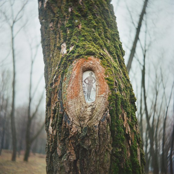 Художница размещает портреты родственников на деревьях