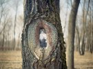 Художниця розміщує портрети родичів на деревах 