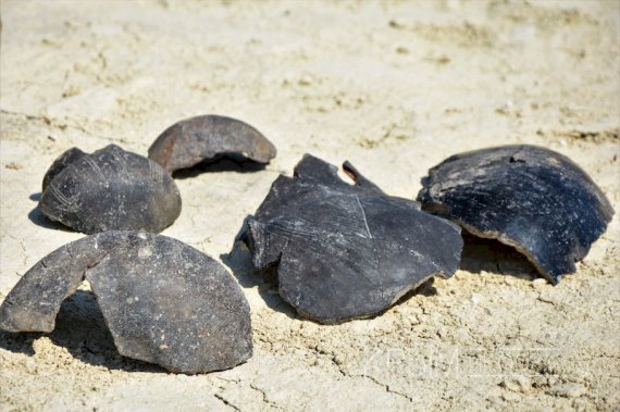 Оккупанты показали археологические находки, найденные во время незаконного строительства трассы "Тавриды"