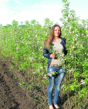  Садовод Валентина ­Лановенко радить купувати саджанці груші у садових центрах або ­розплідниках 