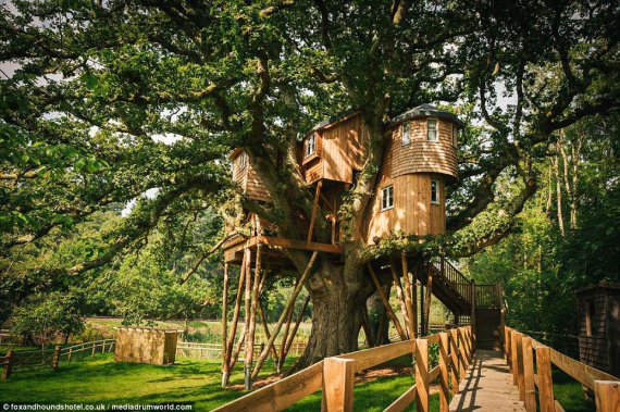 Самый большой в мире домик на дереве похож на сказочный