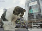 Франсдита Муасифин делает коллажи с огромными котами среди городских пейзажей
