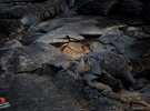 Пилоты сфотографировали кратер крупнейшего на земле вулкана Маауна Лоа на Гавайях