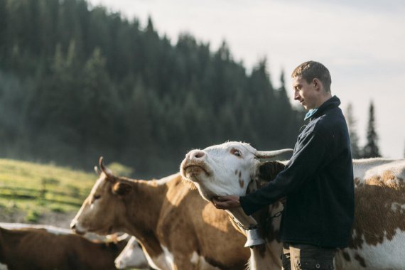 Карпатские пастухи превращают сыроварения в прибыльный бизнес