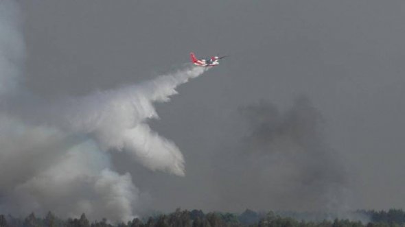 Горить військовий лісгосп біля селища Гончарівське, Чернігівська обл