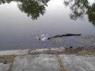 За майские праздники киевляне завалили мусором берег у озера Вера на Борщаговке