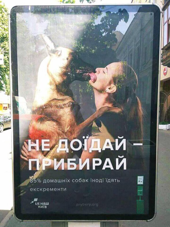Рекламний постер містить напис: "Не доїдай — прибирай. 85% домашніх собак іноді їдять екскременти"