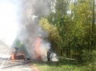 На Житомирщині сталась смертельна ДТП