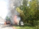 В Житомирской области произошла смертельная ДТП