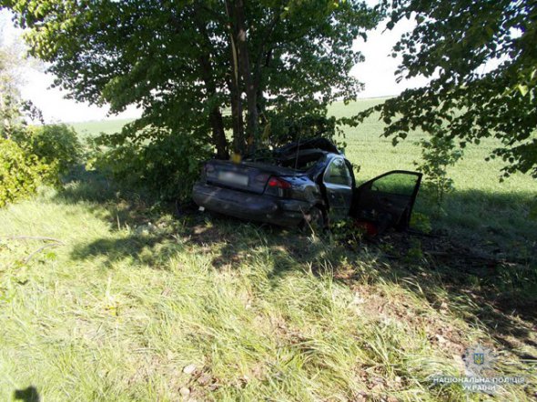 Автівка в'їхала у дерево