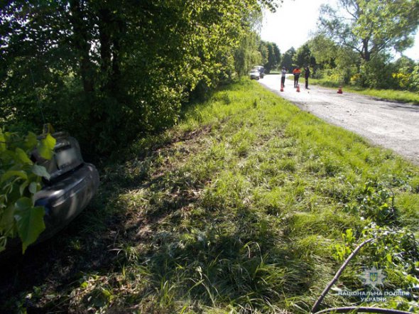 Автівка в'їхала у дерево