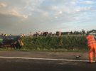 В Польше в ров и перевернулся на бок автобус с украинцами