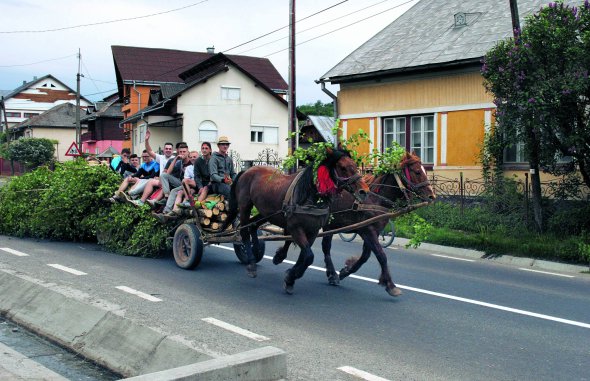 Чоловіки з українського села Вишня Рівня в Румунії везуть гілля берези напередодні Дня святого Юрія 6 травня. Ним прикрасять міст