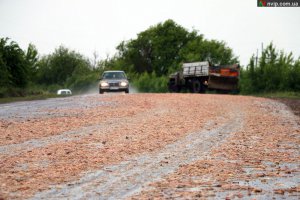 в Волынской области разбросали куриные отходы с предприятия "Господин Корчак".