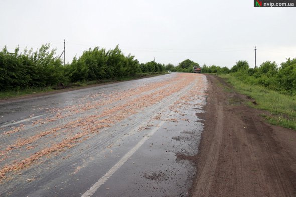 у Волинській області розкидали курячі відходи з підприємства “Пан Корчак”