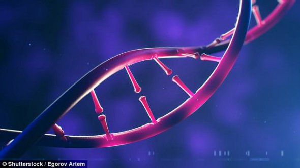 Спіраль ДНК людини.