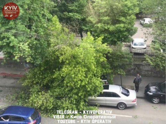 В центрі Києва дерево впало на автомобілі марок Range Rover і Mercedes