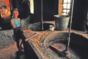 8-річний Василь стоїть біля пресу для видавлення олії всередині водяного млина в селі Білки на Закарпатті. Його баба Анна Зейкан робить її з соняшникового насіння