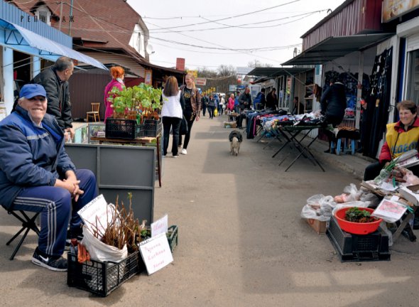 Житель Глухова Сумської області Петро Петренко (на фото ліворуч) продає на місцевому базарі кущі полуниці й малини. Вирощує їх у власному саду