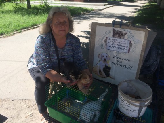 У Татьяны Клочко из Смелы Черкасской области дома живет более 100 бездомных животных