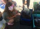 У Татьяны Клочко из Смелы Черкасской области дома живет более 100 бездомных животных