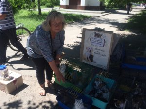 ­Тетяна ­Клочко роздає на вулиці Сміли Черкаської області котів і собак. Не ­віддає їх п’яним та дітям —без дозволу батьків