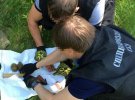 В Одесской области СБУ обнаружила два тайника с боеприпасами