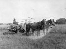 Українська родина збирає врожай, 1918