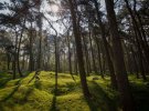 Европа через 100 лет после Первой мировой - что осталось на полях сражений