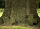 Европа через 100 лет после Первой мировой - что осталось на полях сражений