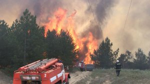 30 травня рятувальники гасять лісову пожежу за селом Раденськ Олешківського району Херсонської області. До операції долучили літак і вертоліт Міністерства оборони