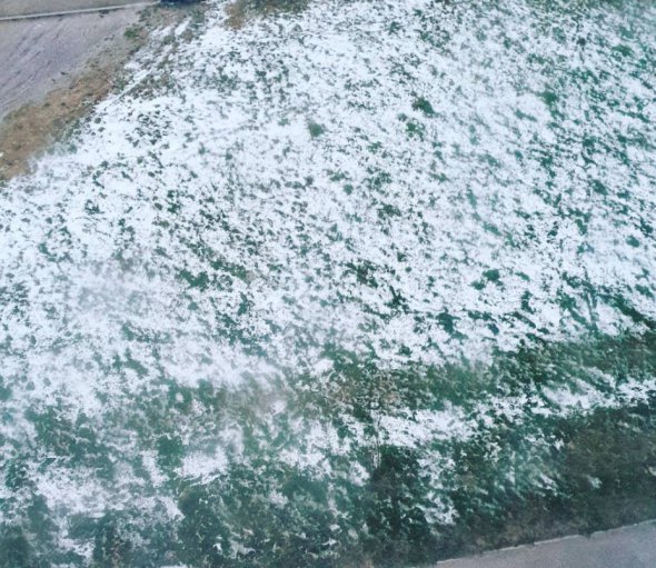 В первый день лета в России выпал снег