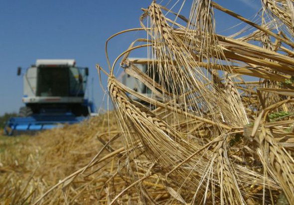 С 1 января 2018 года ЕС ввел дополнительные зерновые квоты.