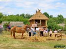 Пам'ятки Трипільської культури знайдені на Кодимщині у великій кількості