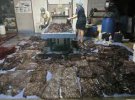 В желудке кита обнаружили 8 кг пластикового мусора