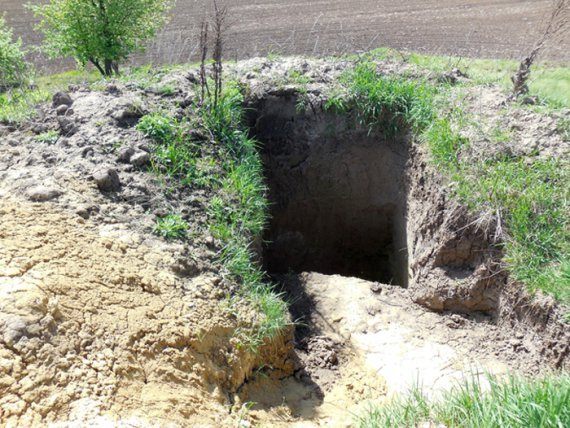 В Винницкой области раскопали скифский курган