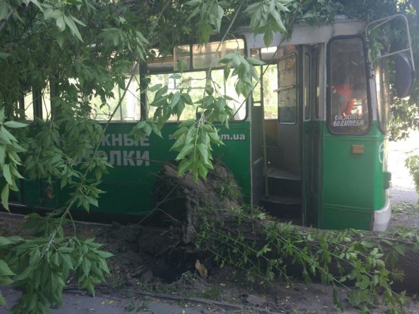 У Запоріжжі дерево впало на тролейбус