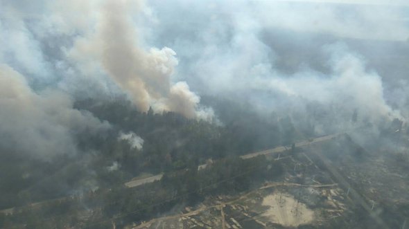 Рятувальники виклали фото пожежі у зоні відчуження