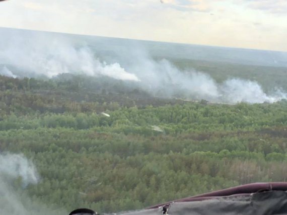  10-километровой зоне возле Чернобыльской АЭС уже почти сутки горит лес