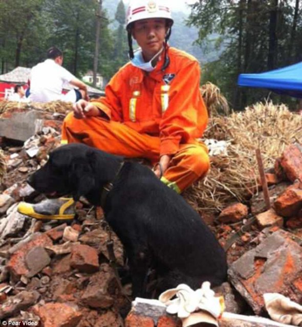 Жу и его собака Тянфу работали вместе 8 лет