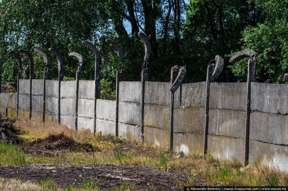 Блогер показав сучасне місто Освенцим