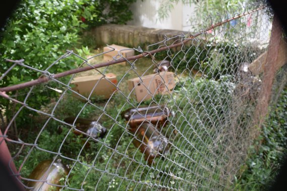 Трупи, срач, п'яні розбірки  - головні  "пам'ятки"Севастополя