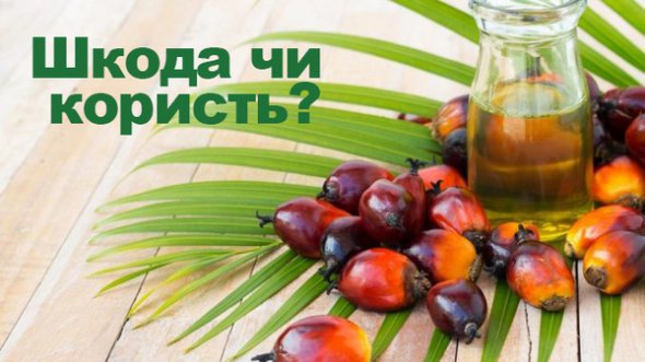 Научные исследования не подтверждают негативное влияние пальмового масла на здоровье