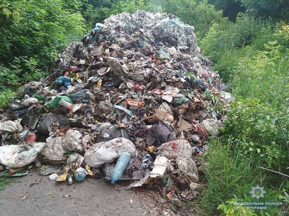 Водитель фуры сбросил 12 т мусора на территории черниговского села