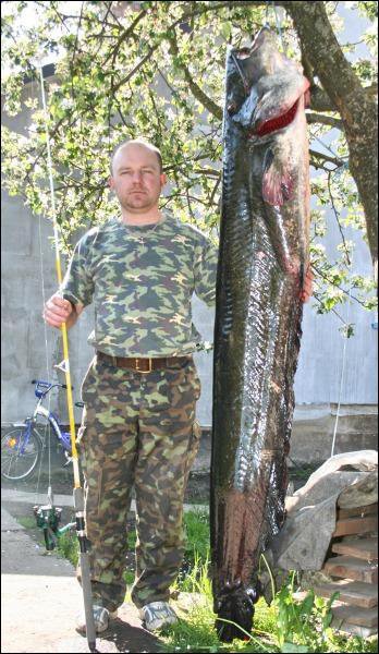 Руслан Пекач поймал сома длиной 1,95 метра