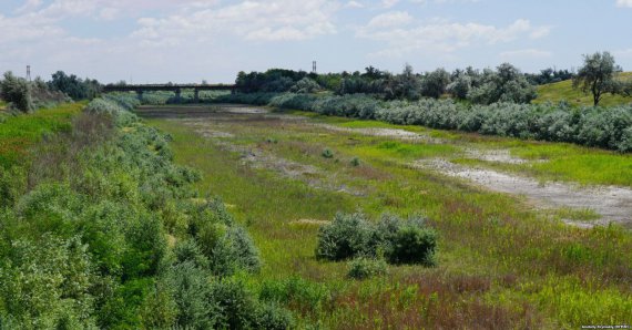 Крымский канал зарос травой без воды